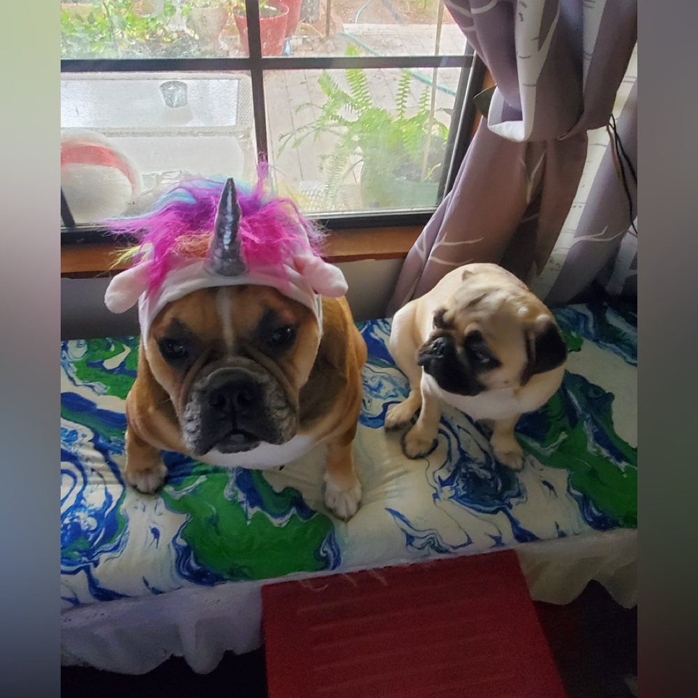 Meet your Posher, Christie